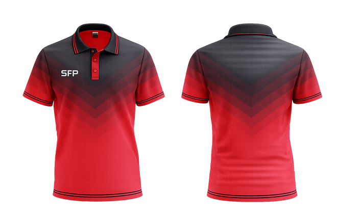 POLO 4